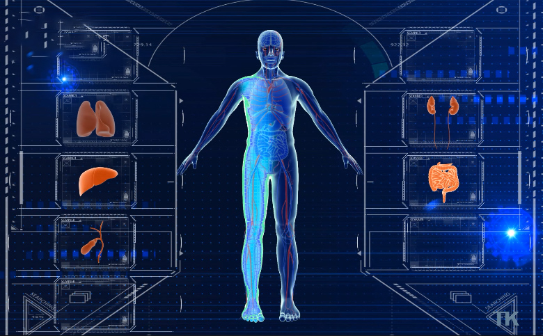 人体扫描医学动画