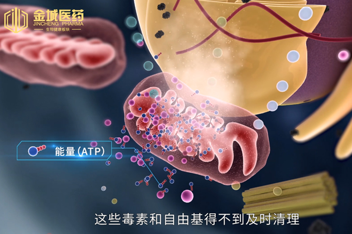 谷胱甘肽医学三维动画