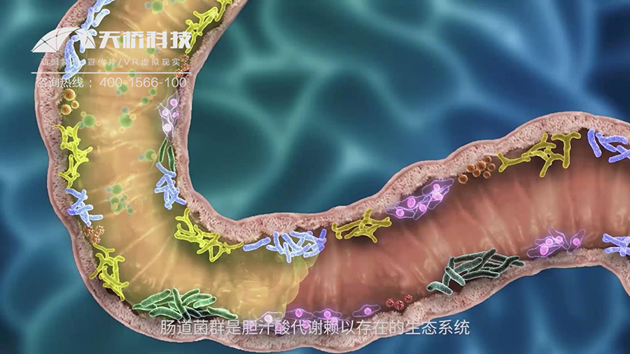 1575620309397146.jpg